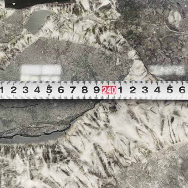 Natural Marble MIH NM 011